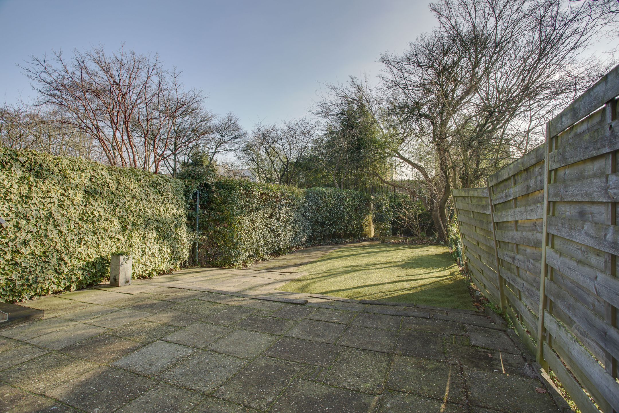 Foto 9 van Elviraland 45