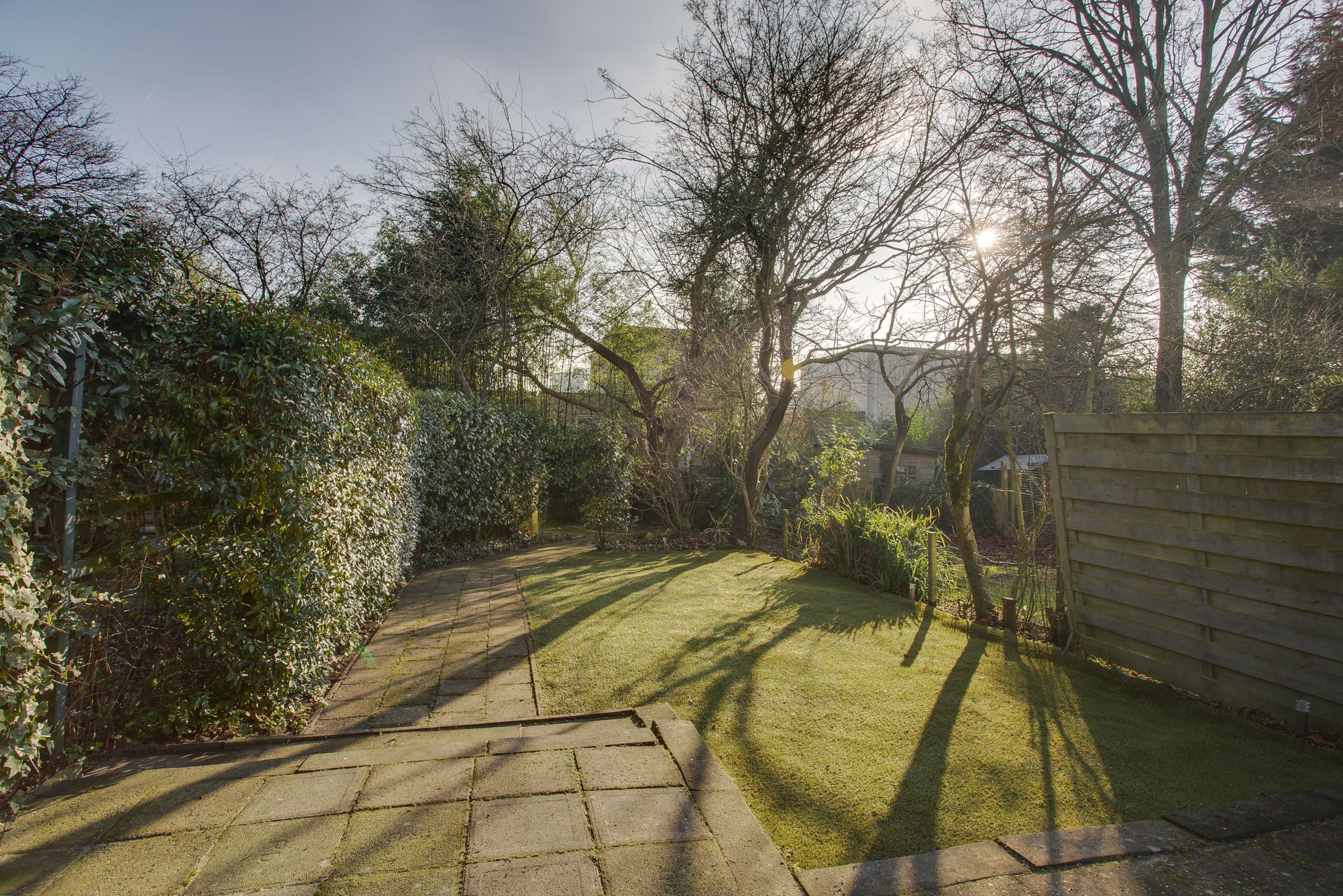 Foto 21 van Elviraland 45