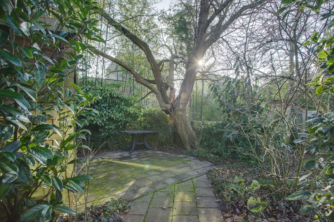 Foto 22 van Elviraland 45