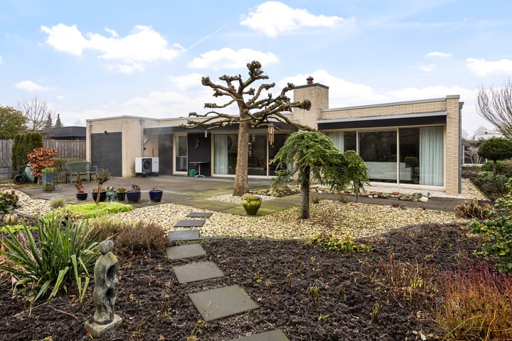 Foto 2 van Zwanebloem 10