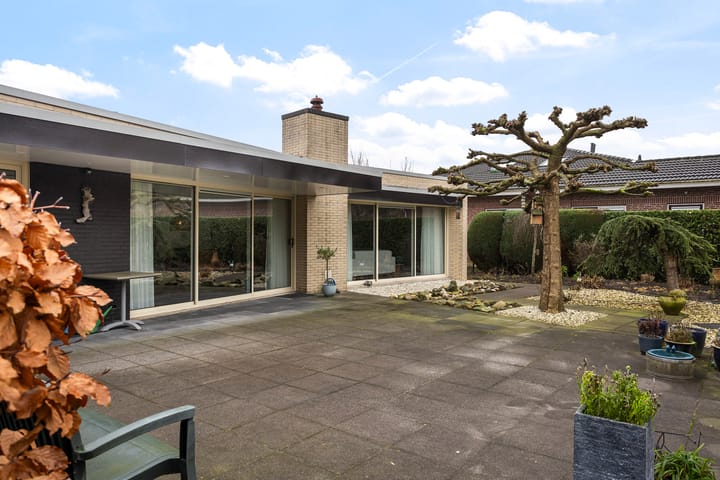 Foto 30 van Zwanebloem 10