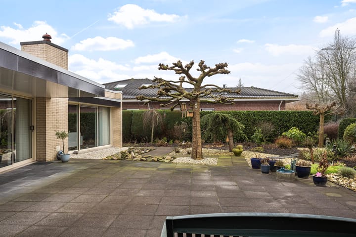 Foto 32 van Zwanebloem 10