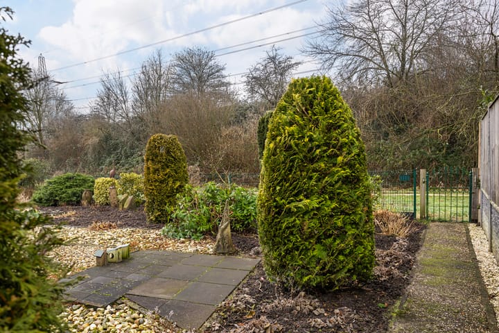 Foto 35 van Zwanebloem 10