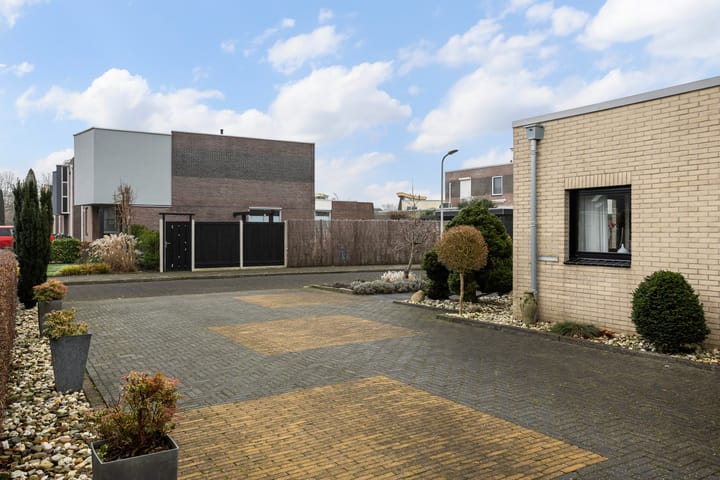 Foto 36 van Zwanebloem 10