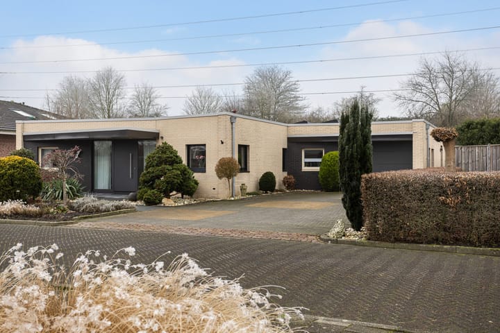 Foto 37 van Zwanebloem 10