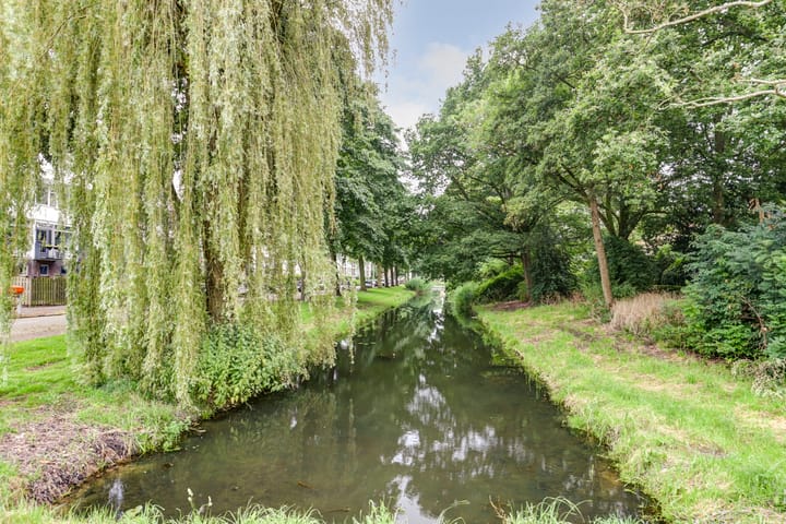 Foto 29 van Van Beethovenstraat 19