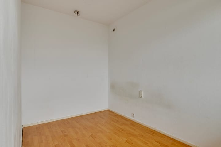 Foto 30 van Vijf Meilaan 40