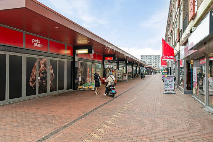 Foto 38 van Vijf Meilaan 40