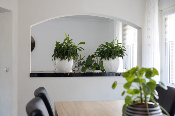 Foto 17 van Tulpstraat 56