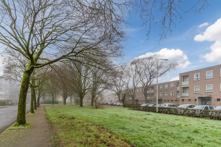 Foto 61 van Dussekstraat 97