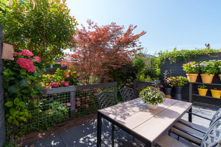 Foto 19 van Mattenbieslaan 8