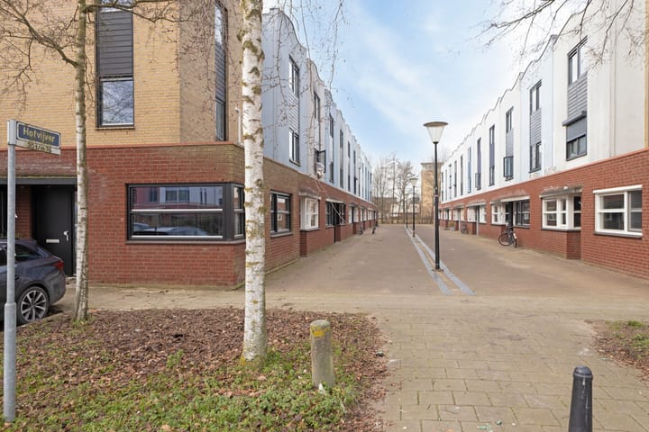 Foto 30 van Hofvijver 50