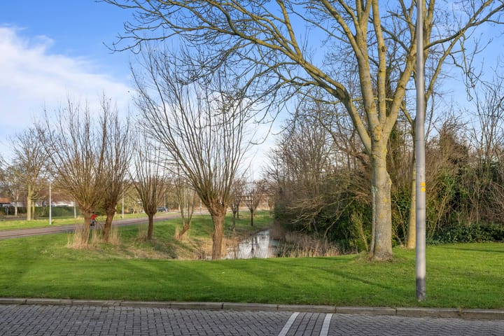 Foto 28 van Dollardlaan 8