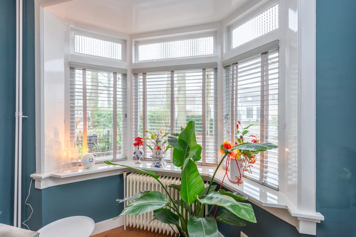 Foto 7 van Traaij 215