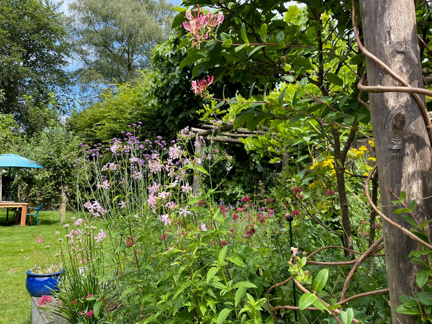 Foto 49 van Traaij 215