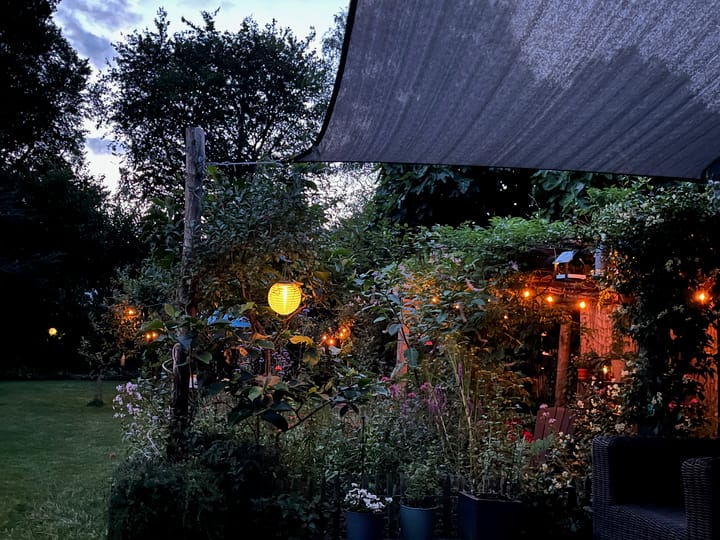 Foto 50 van Traaij 215