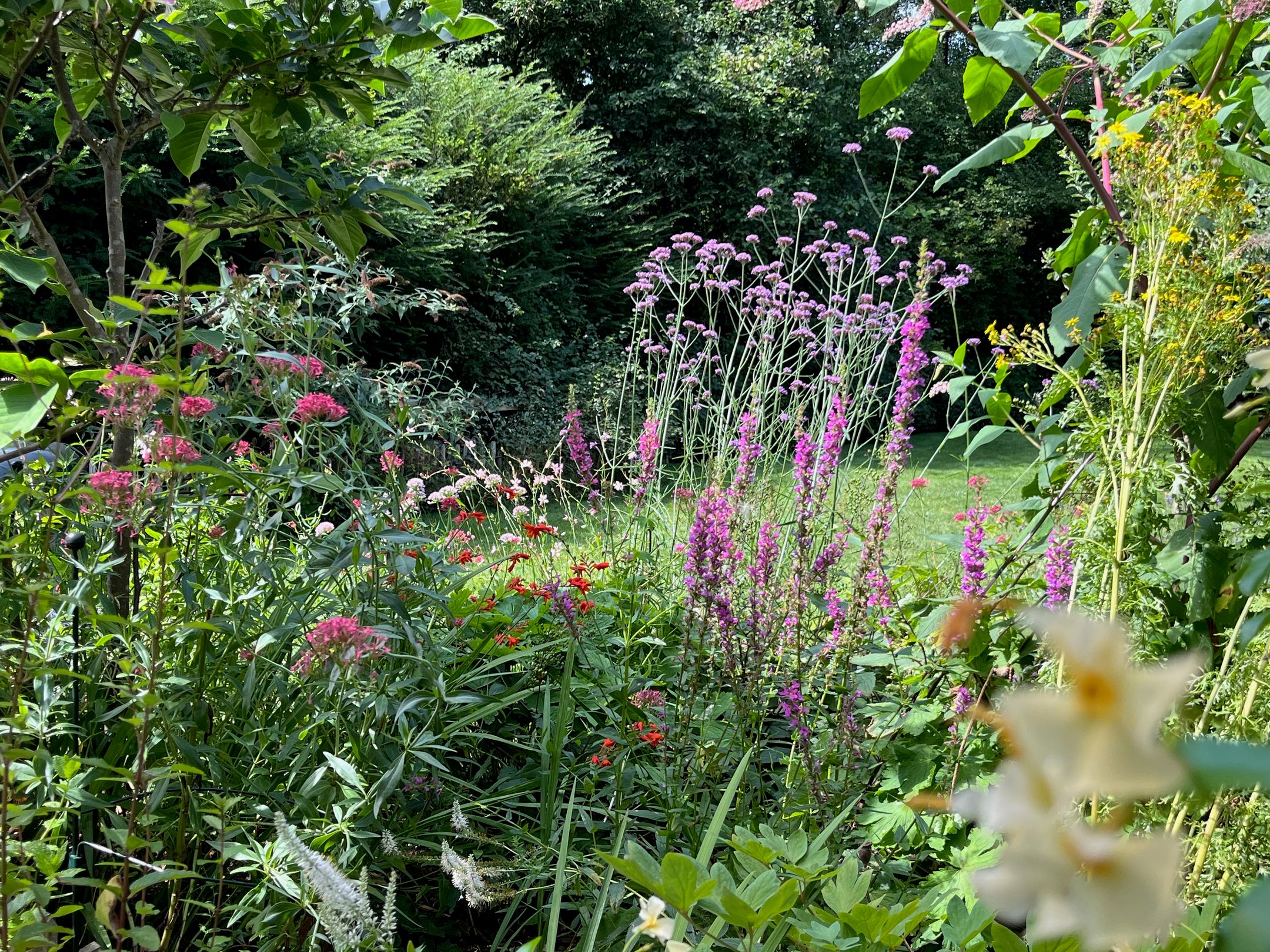 Foto 51 van Traaij 215