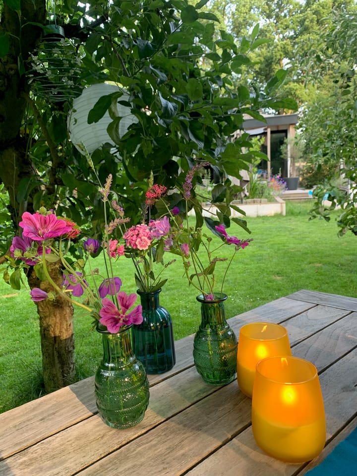 Foto 55 van Traaij 215