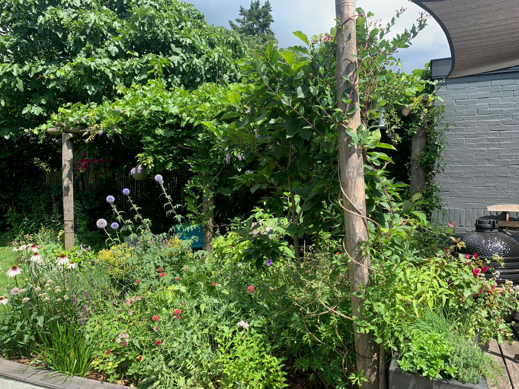 Foto 57 van Traaij 215