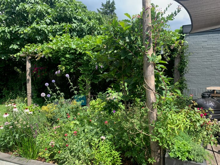 Foto 57 van Traaij 215