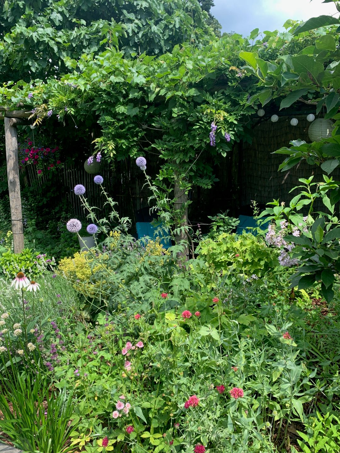 Foto 58 van Traaij 215