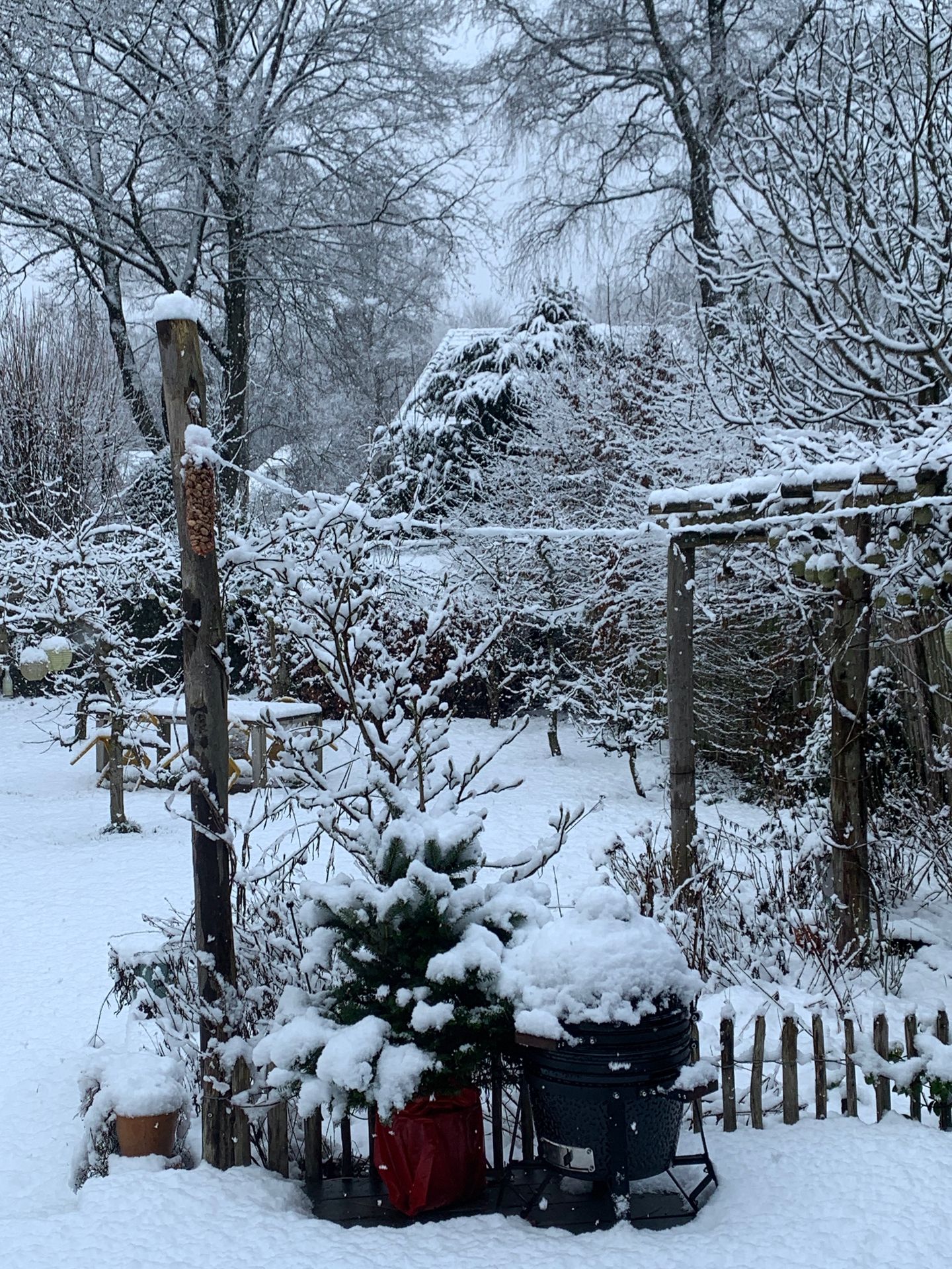 Foto 59 van Traaij 215