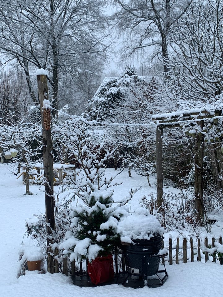 Foto 59 van Traaij 215