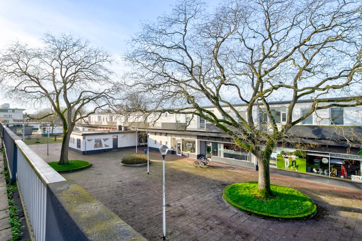 Foto 2 van Zuiderpassage 19