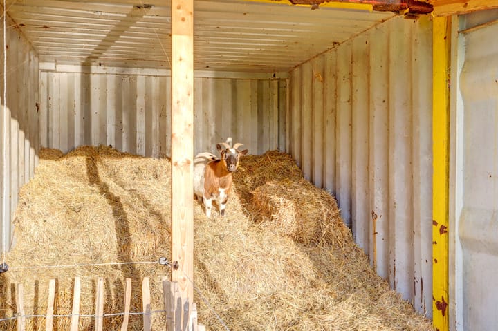 Foto 96 van Diemerbroek 28