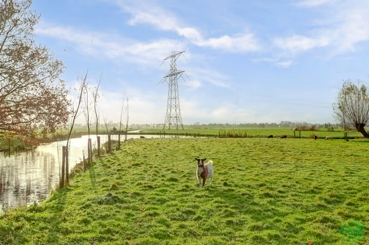 Foto 100 van Diemerbroek 28