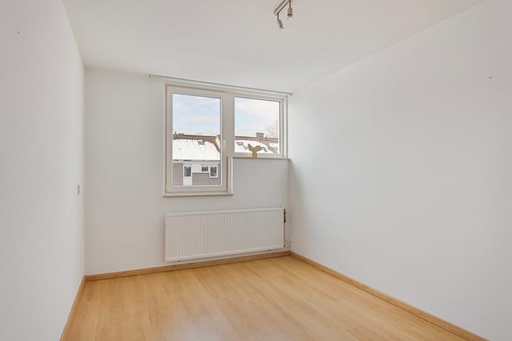 Foto 11 van Insula 74