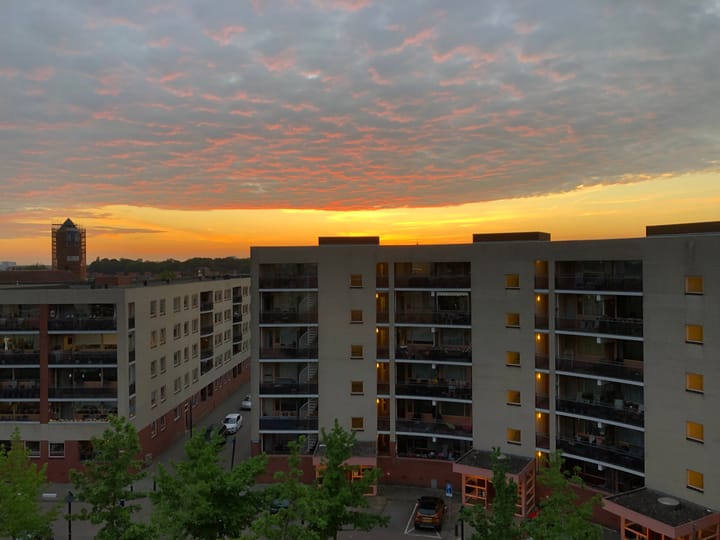 Foto 5 van Plantage 107