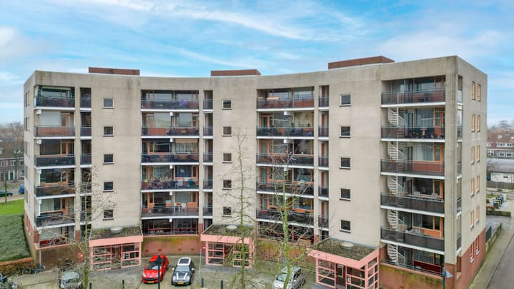 Foto 41 van Plantage 107