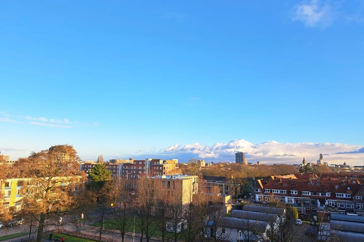 Foto 45 van Plantage 107