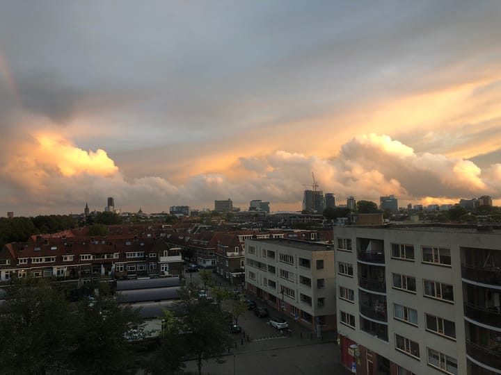 Foto 48 van Plantage 107