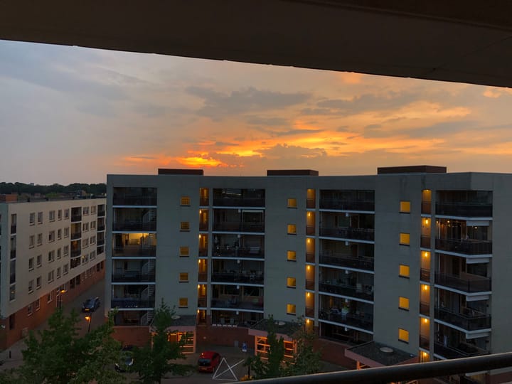 Foto 49 van Plantage 107