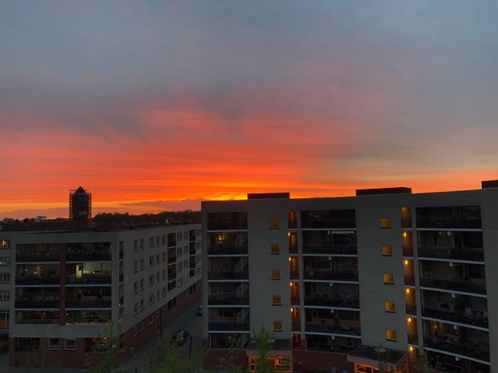 Foto 50 van Plantage 107