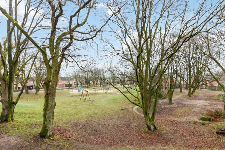 Foto 21 van Duivekervel 45