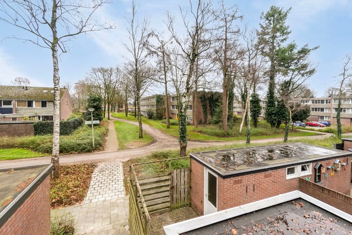 Foto 36 van Laan van de Bork 156