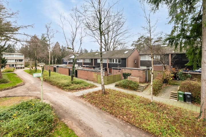 Foto 37 van Laan van de Bork 156