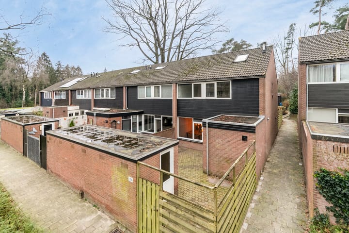 Foto 38 van Laan van de Bork 156