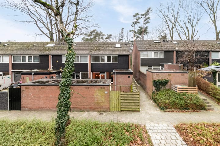 Foto 41 van Laan van de Bork 156