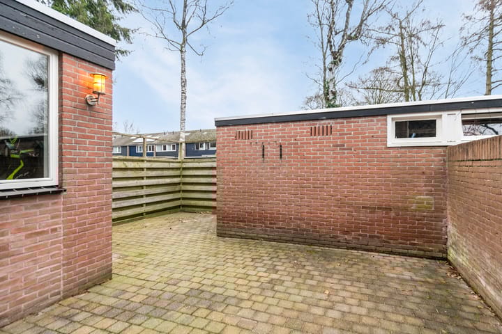 Foto 42 van Laan van de Bork 156