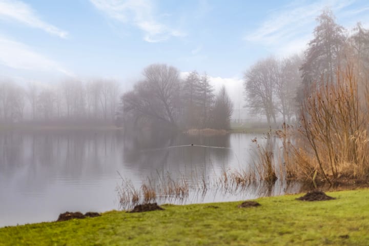 Foto 33 van de Schans 45