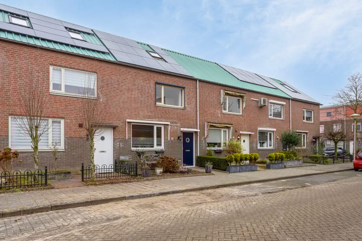 Foto 7 van Reiskameraad 8