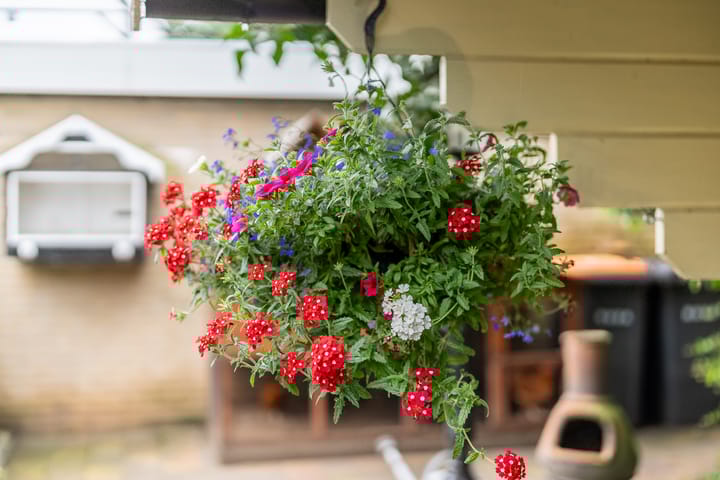 Foto 40 van Heemsteres 38