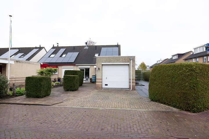 Foto 2 van Botter 37 43