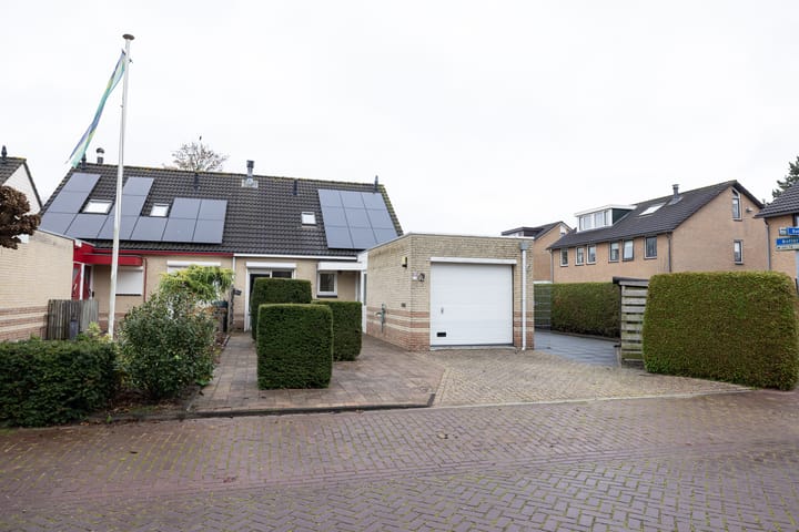 Foto 5 van Botter 37 43