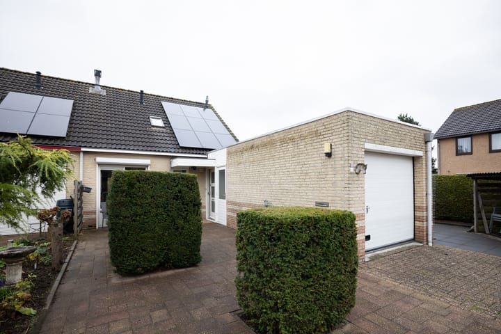 Foto 6 van Botter 37 43