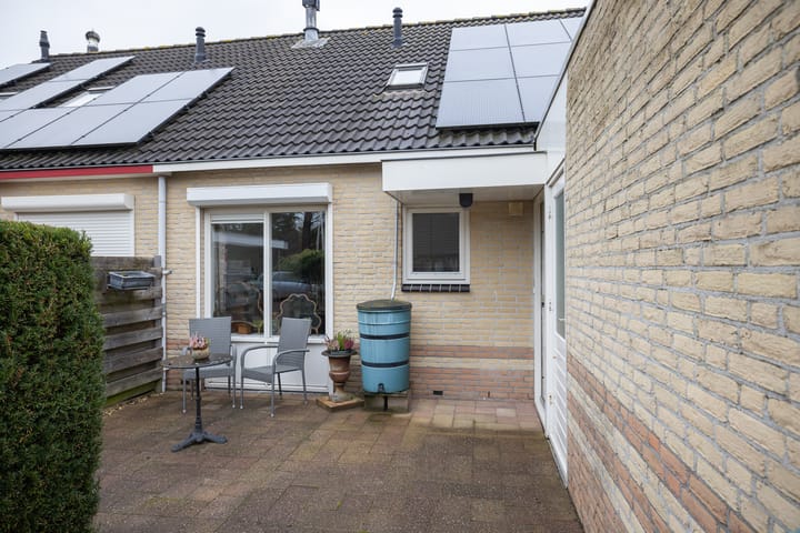 Foto 7 van Botter 37 43